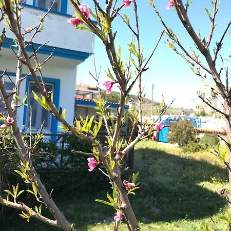 Sevinc Hotel